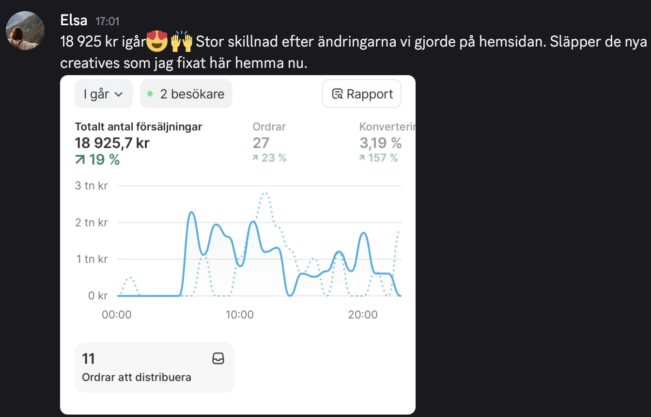 Skärmbild av Elsas försäljning